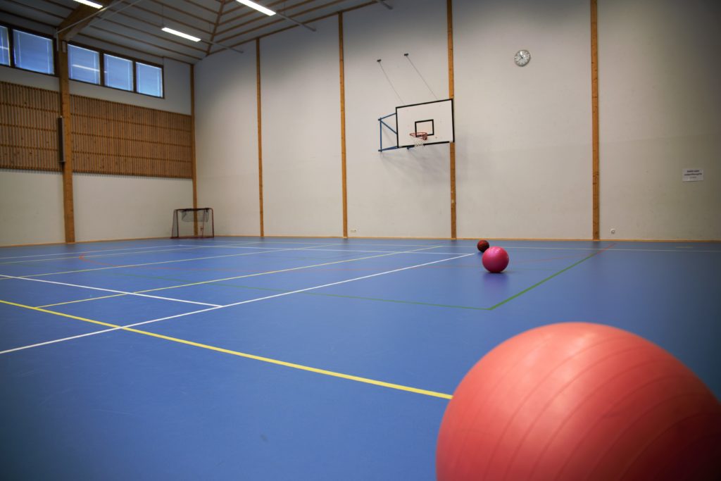 Liikuntahallissa sininen lattia, palloja, maali ja koripallokori seinällä.
